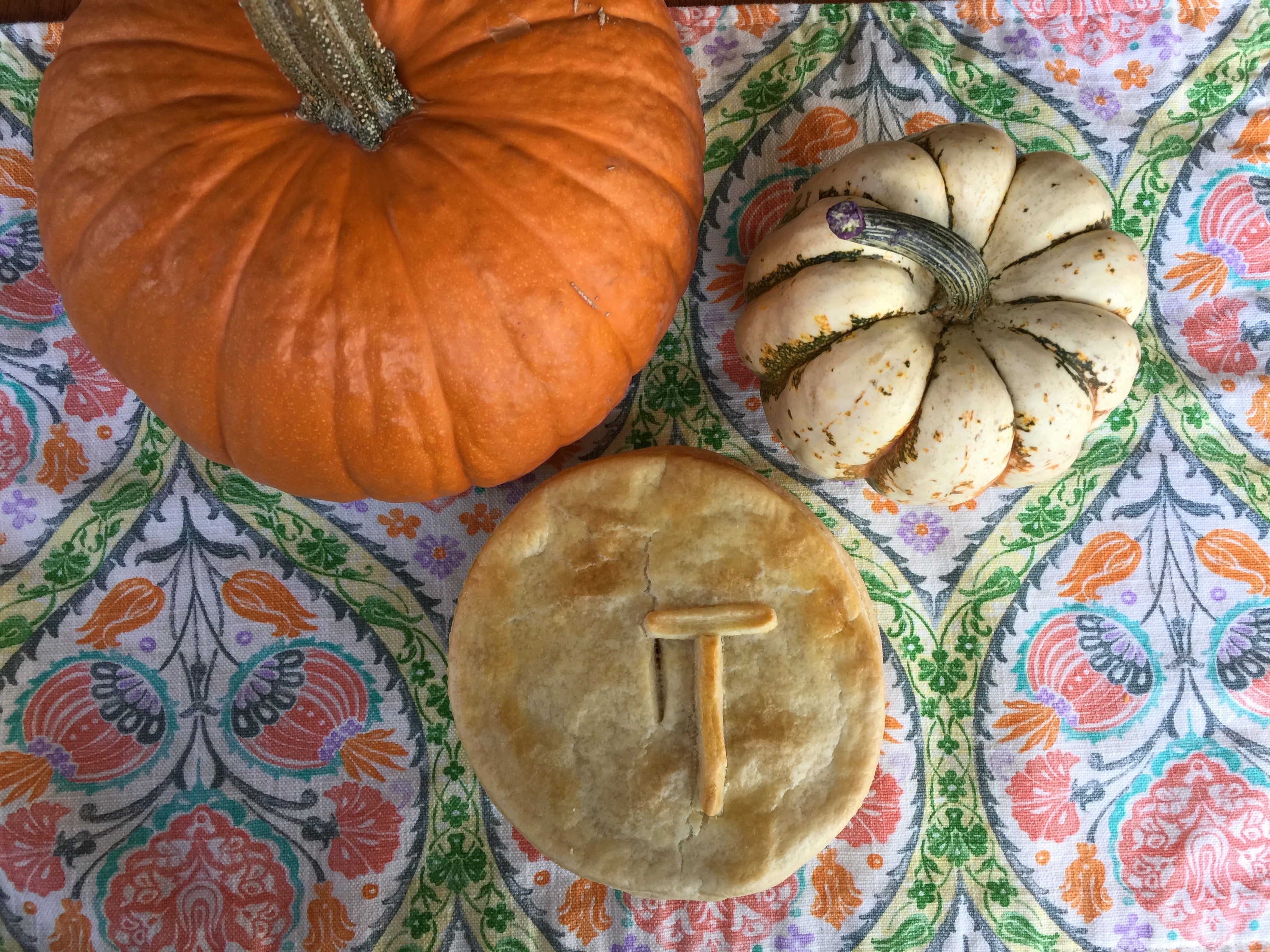 🦘 Pie of the Month -  Turkey, Cranberry & Brie